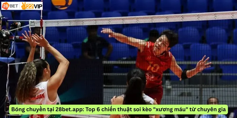 Bóng chuyền tại 28bet.app: Top 6 chiến thuật soi kèo "xương máu" từ chuyên gia