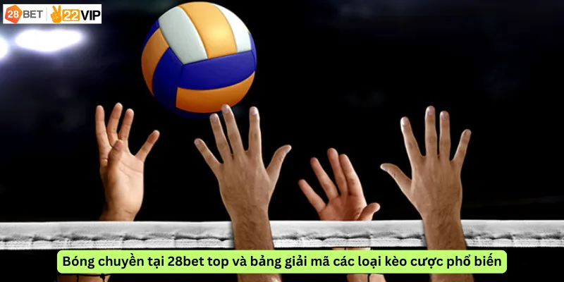 Bóng chuyền tại 28bet top và bảng giải mã các loại kèo cược phổ biến