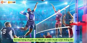 Soi kèo bóng chuyền tại 28bet và chiến thuật cược thắng lớn